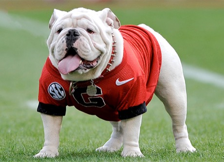 Dennis Bennett Georgia Bulldogs