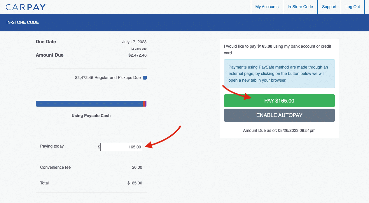 Enter payment amount